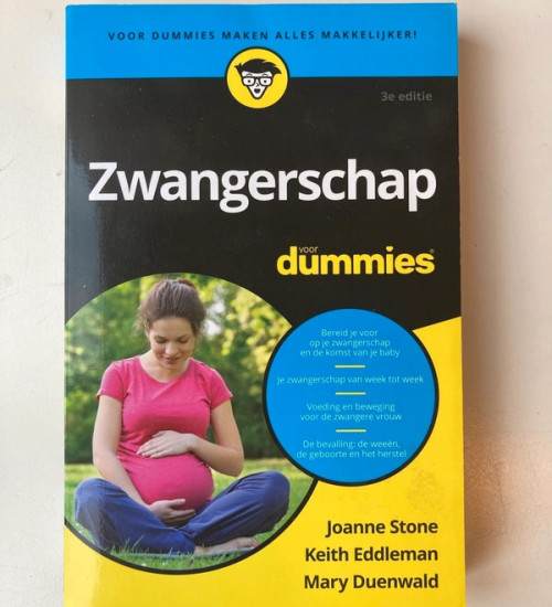 Zwangerschap voor Dummies, boek